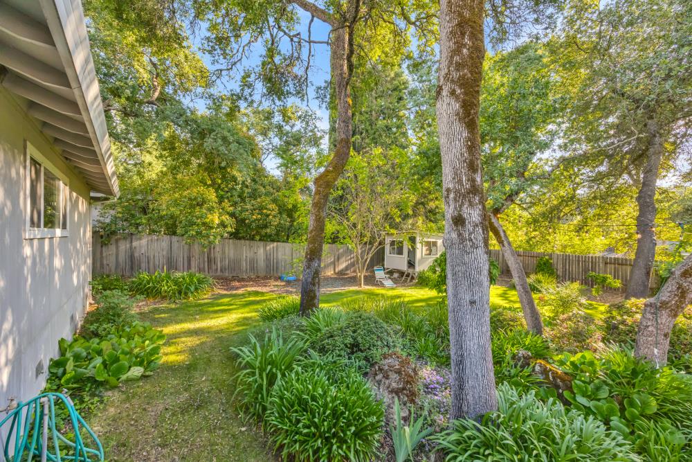 Latham Lane, El Dorado Hills, California image 37