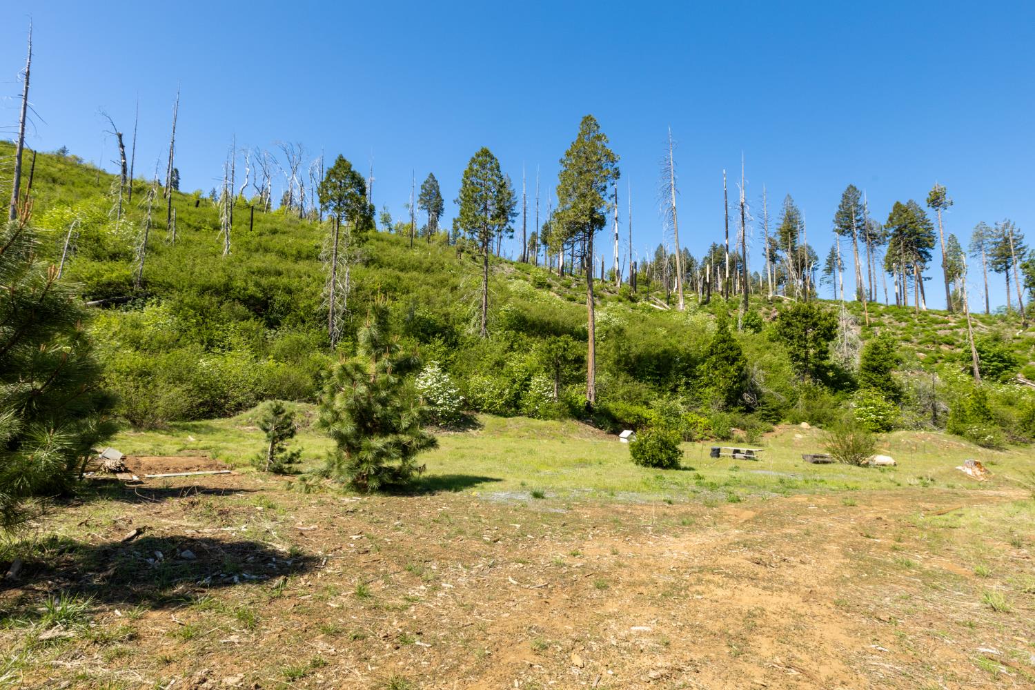 Detail Gallery Image 5 of 30 For 40 Wentworth Springs Rd, Georgetown,  CA 95634 - – Beds | – Baths
