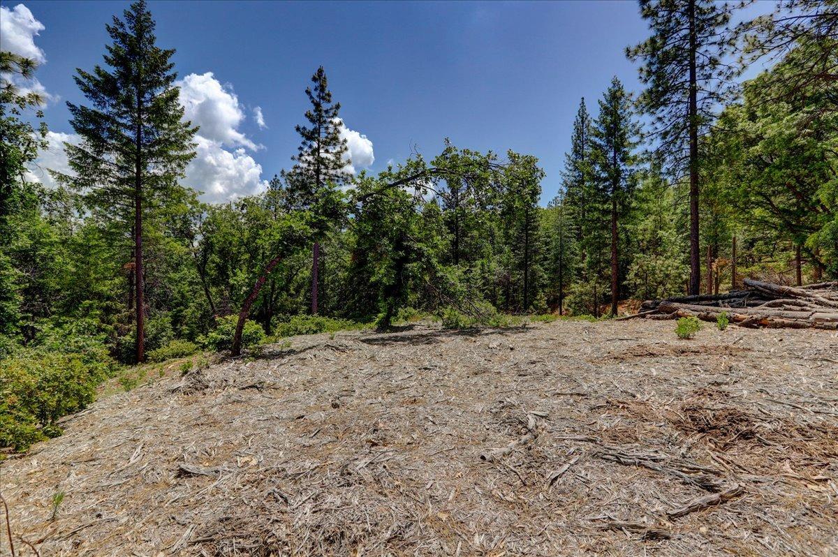Detail Gallery Image 53 of 63 For 16856 Red Dog Rd, Nevada City,  CA 95959 - – Beds | – Baths