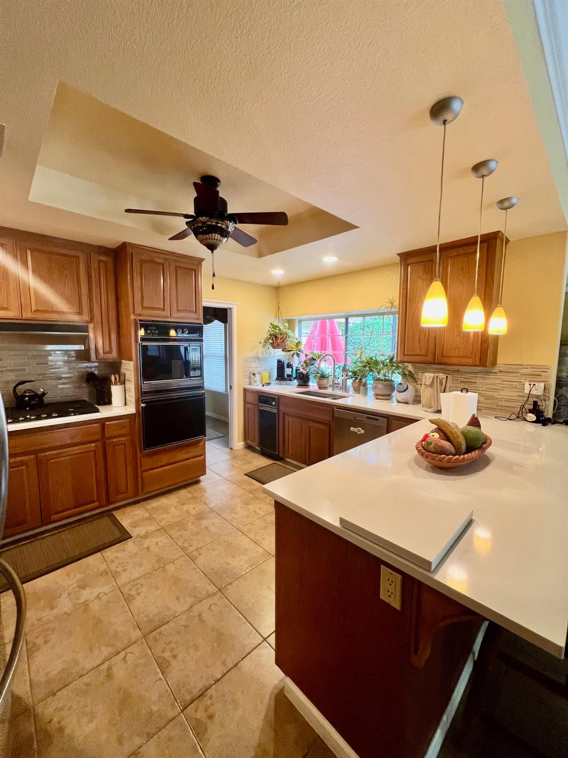 Chex Court, Elk Grove, California image 6