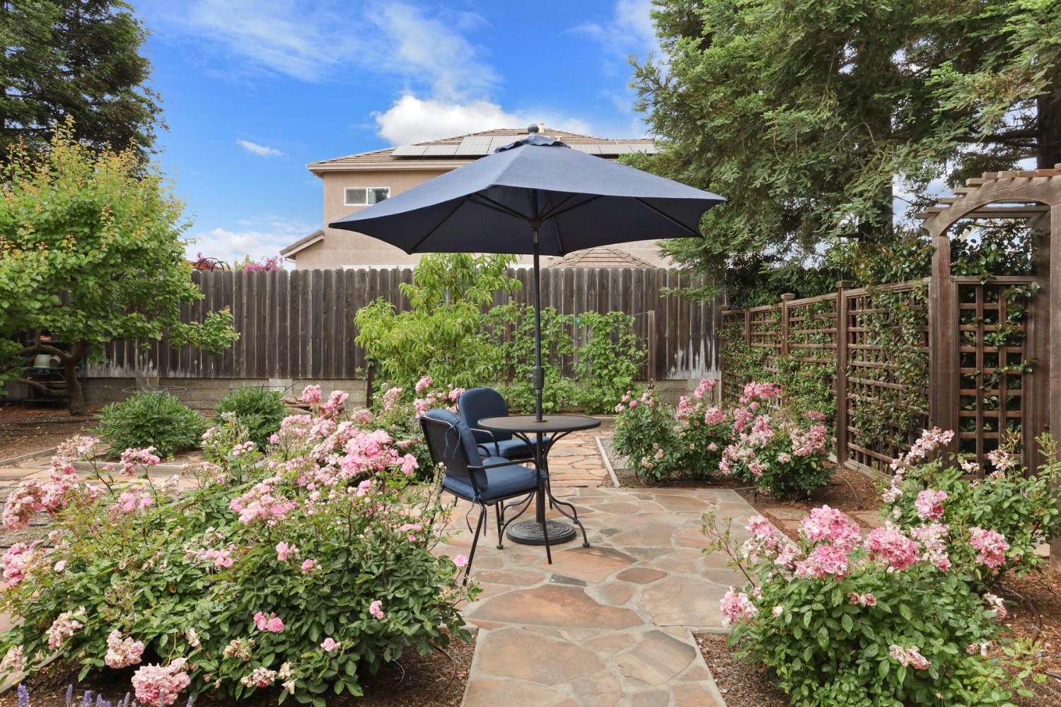 Detail Gallery Image 52 of 63 For 1037 Olson Ct, Ripon,  CA 95366 - 3 Beds | 2 Baths