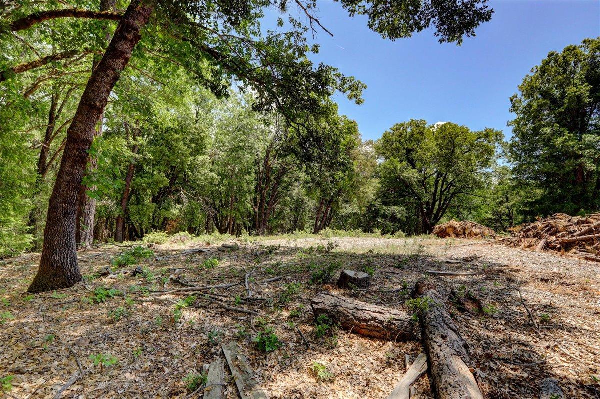 Detail Gallery Image 59 of 63 For 16856 Red Dog Rd, Nevada City,  CA 95959 - – Beds | – Baths