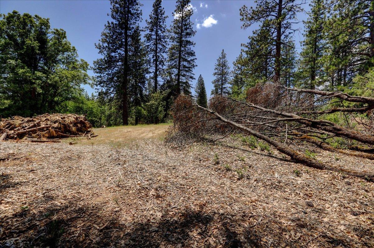 Detail Gallery Image 61 of 63 For 16856 Red Dog Rd, Nevada City,  CA 95959 - – Beds | – Baths