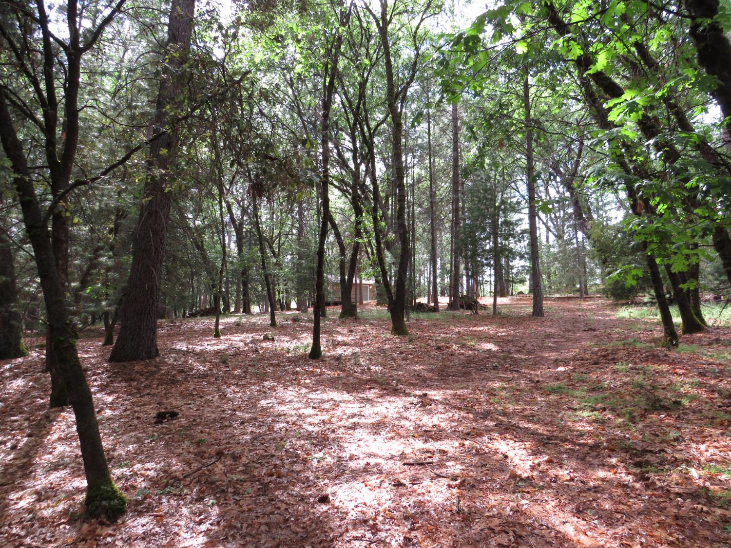 Chattering Pines Road, Grass Valley, California image 21