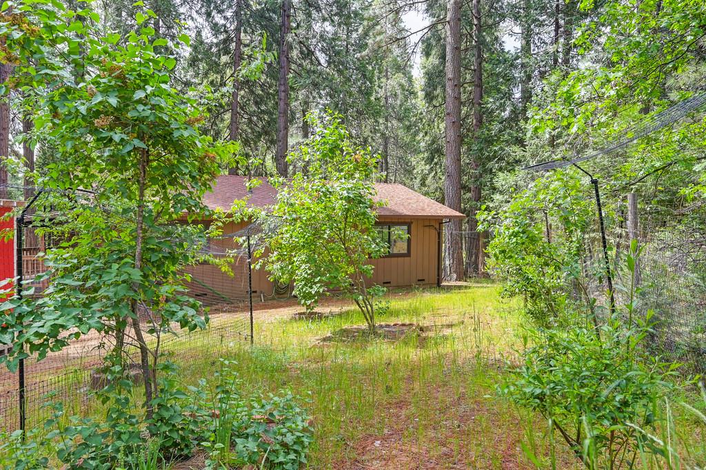Detail Gallery Image 55 of 59 For 26149 Buckhorn Ln, Pioneer,  CA 95666 - 2 Beds | 1 Baths