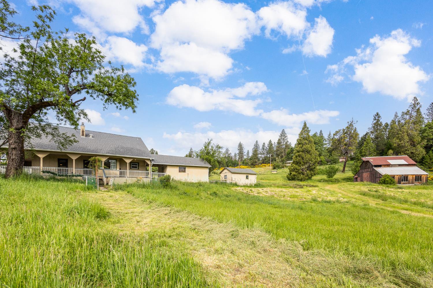 Detail Gallery Image 1 of 37 For 29658 State Highway 49, North San Juan,  CA 95960 - 3 Beds | 1 Baths