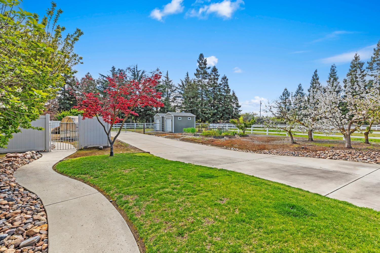 Detail Gallery Image 9 of 77 For 5000 Peach Blossom Ln, Oakdale,  CA 95361 - 5 Beds | 3/1 Baths