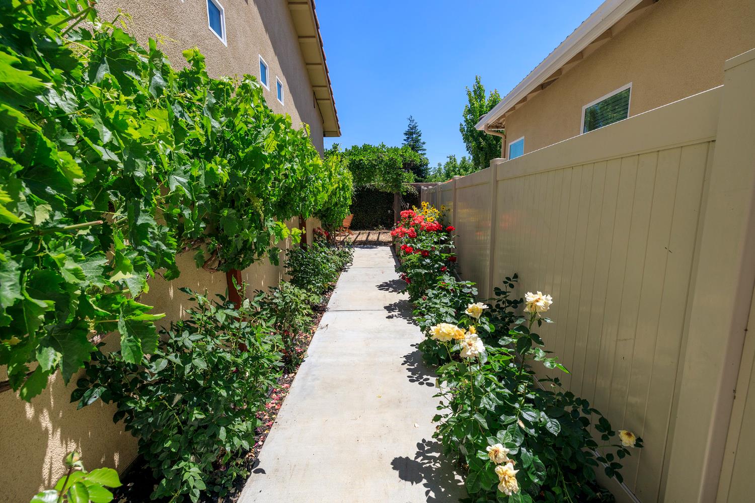 Detail Gallery Image 49 of 58 For 367 via Attivo, Oakdale,  CA 95361 - 2 Beds | 2/1 Baths