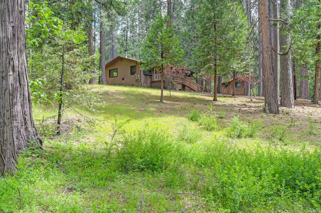 Detail Gallery Image 59 of 59 For 26149 Buckhorn Ln, Pioneer,  CA 95666 - 2 Beds | 1 Baths