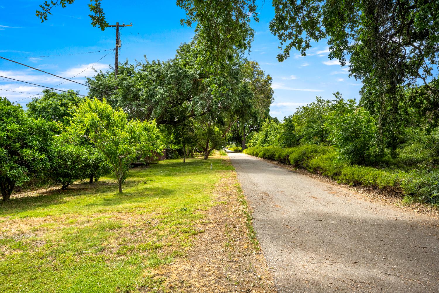 W Manchester Street, West Sacramento, California image 45