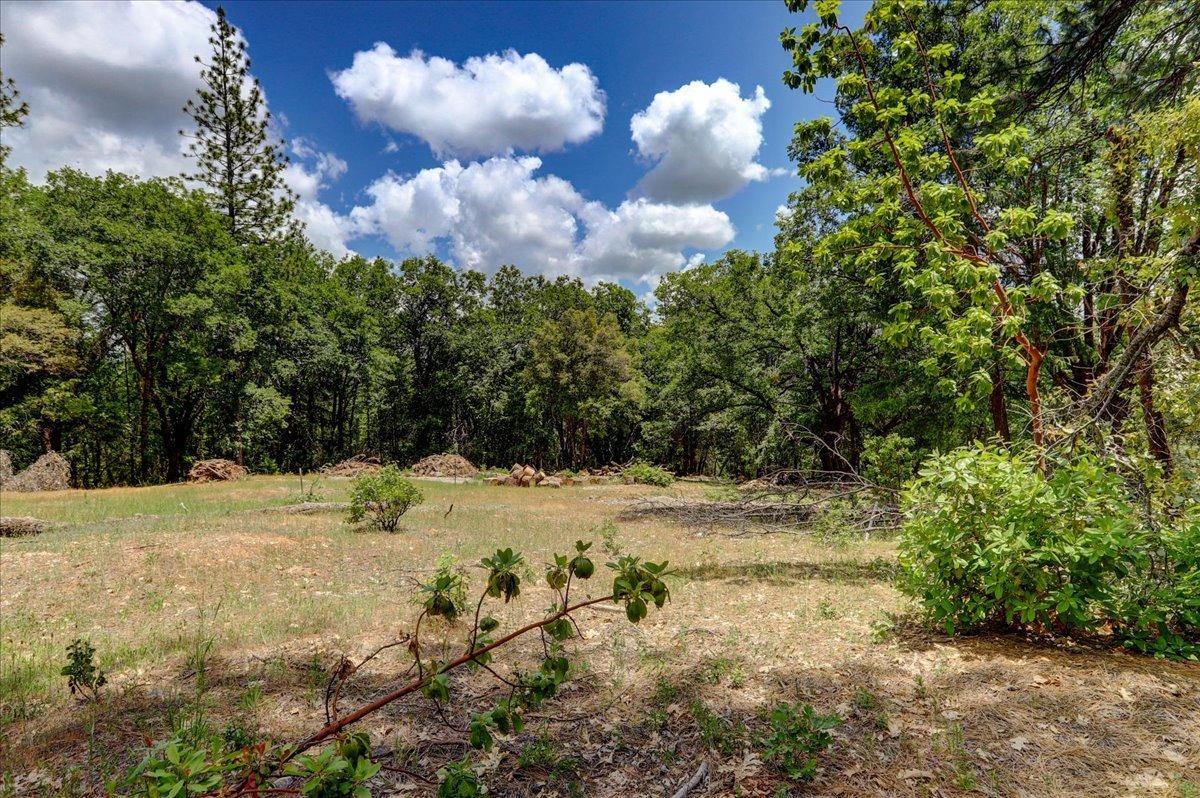 Detail Gallery Image 58 of 63 For 16856 Red Dog Rd, Nevada City,  CA 95959 - – Beds | – Baths