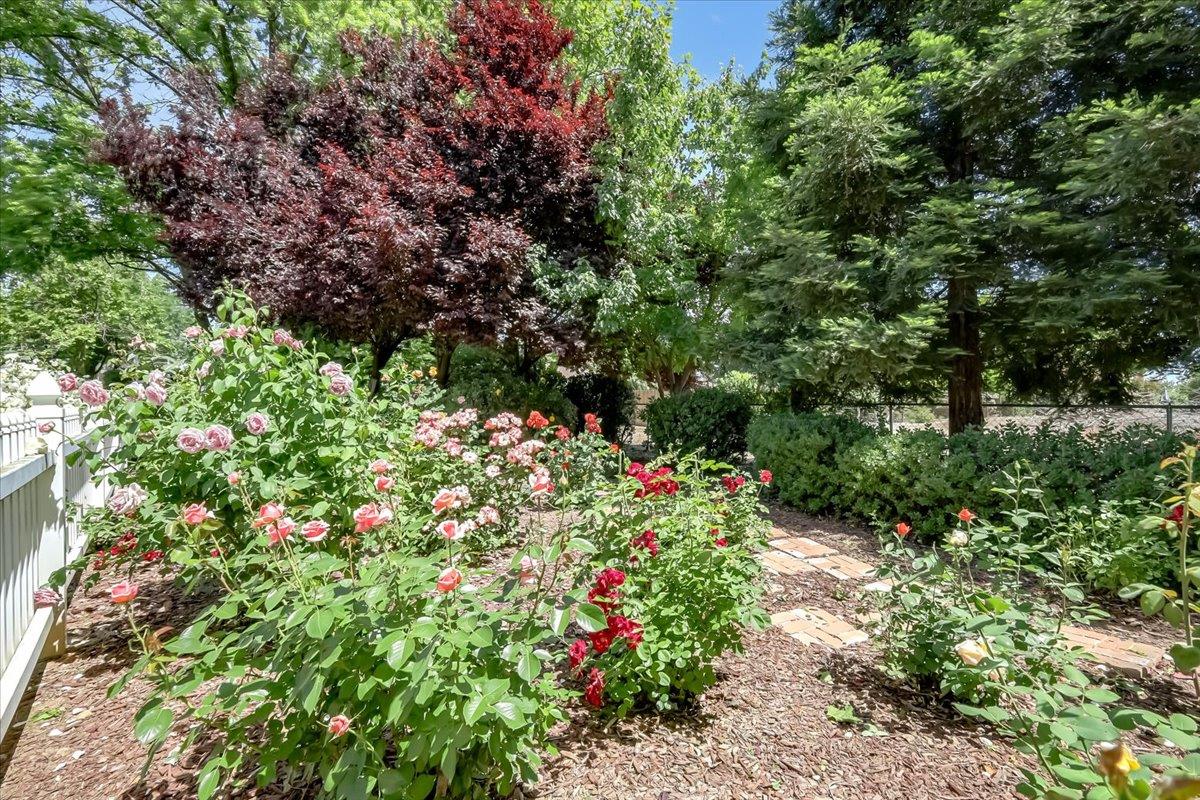 Detail Gallery Image 75 of 84 For 685 Saddleback Dr, Marysville,  CA 95901 - 3 Beds | 2/2 Baths