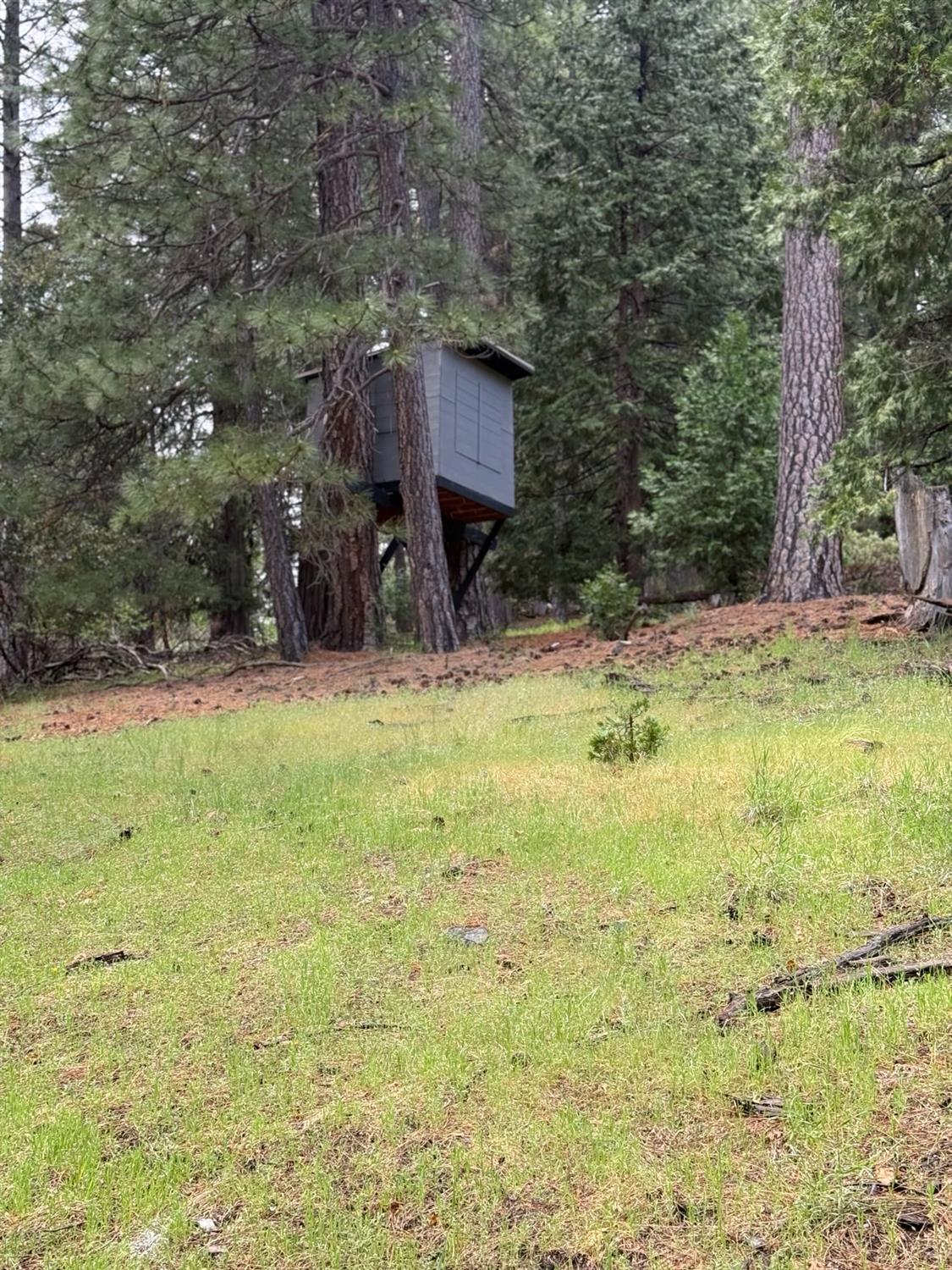 Detail Gallery Image 12 of 20 For 20081 Pine Drive West, Volcano,  CA 95689 - – Beds | – Baths