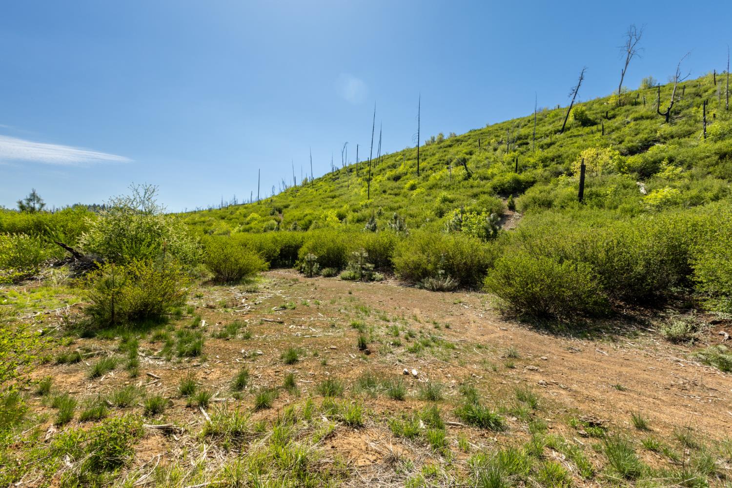 Detail Gallery Image 9 of 30 For 40 Wentworth Springs Rd, Georgetown,  CA 95634 - – Beds | – Baths