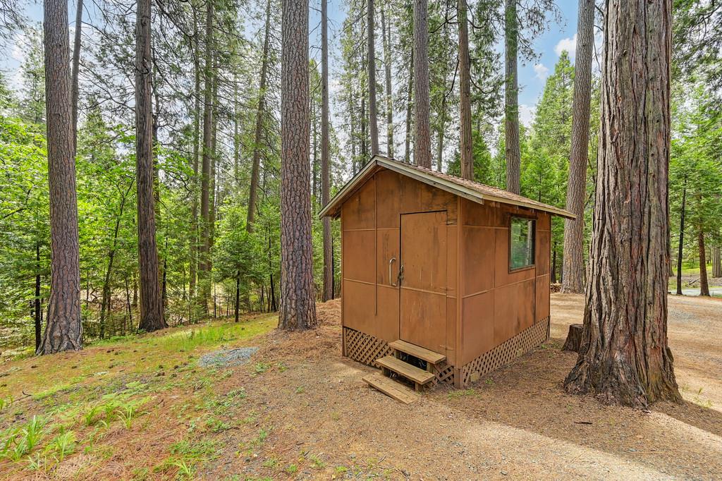 Detail Gallery Image 46 of 59 For 26149 Buckhorn Ln, Pioneer,  CA 95666 - 2 Beds | 1 Baths