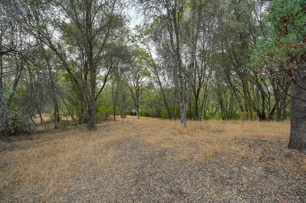 Detail Gallery Image 16 of 25 For 3390 Morel Way, Placerville,  CA 95667 - – Beds | – Baths