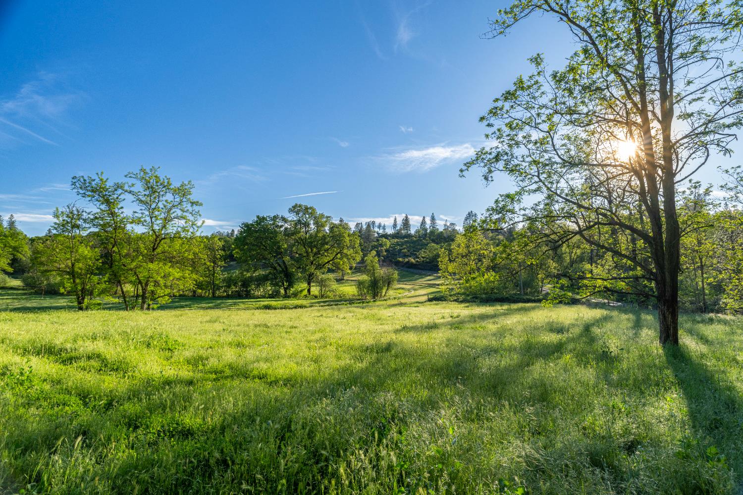 Detail Gallery Image 42 of 44 For 13615 Mccourtney Rd, Grass Valley,  CA 95949 - 2 Beds | 2/2 Baths