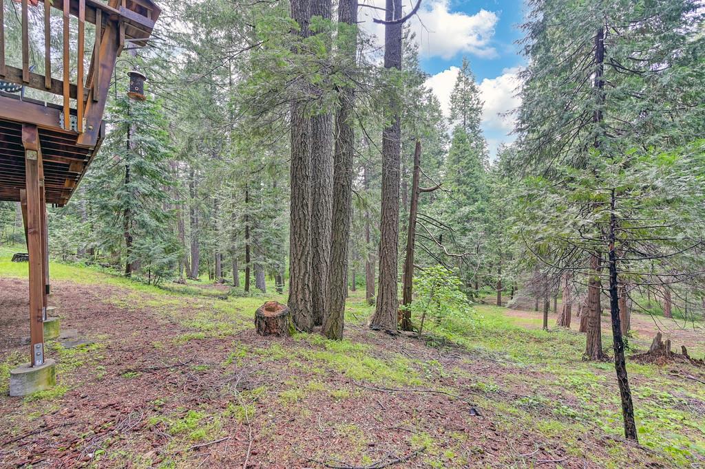 Detail Gallery Image 43 of 47 For 3490 Gold Ridge Trl, Pollock Pines,  CA 95726 - 3 Beds | 2 Baths