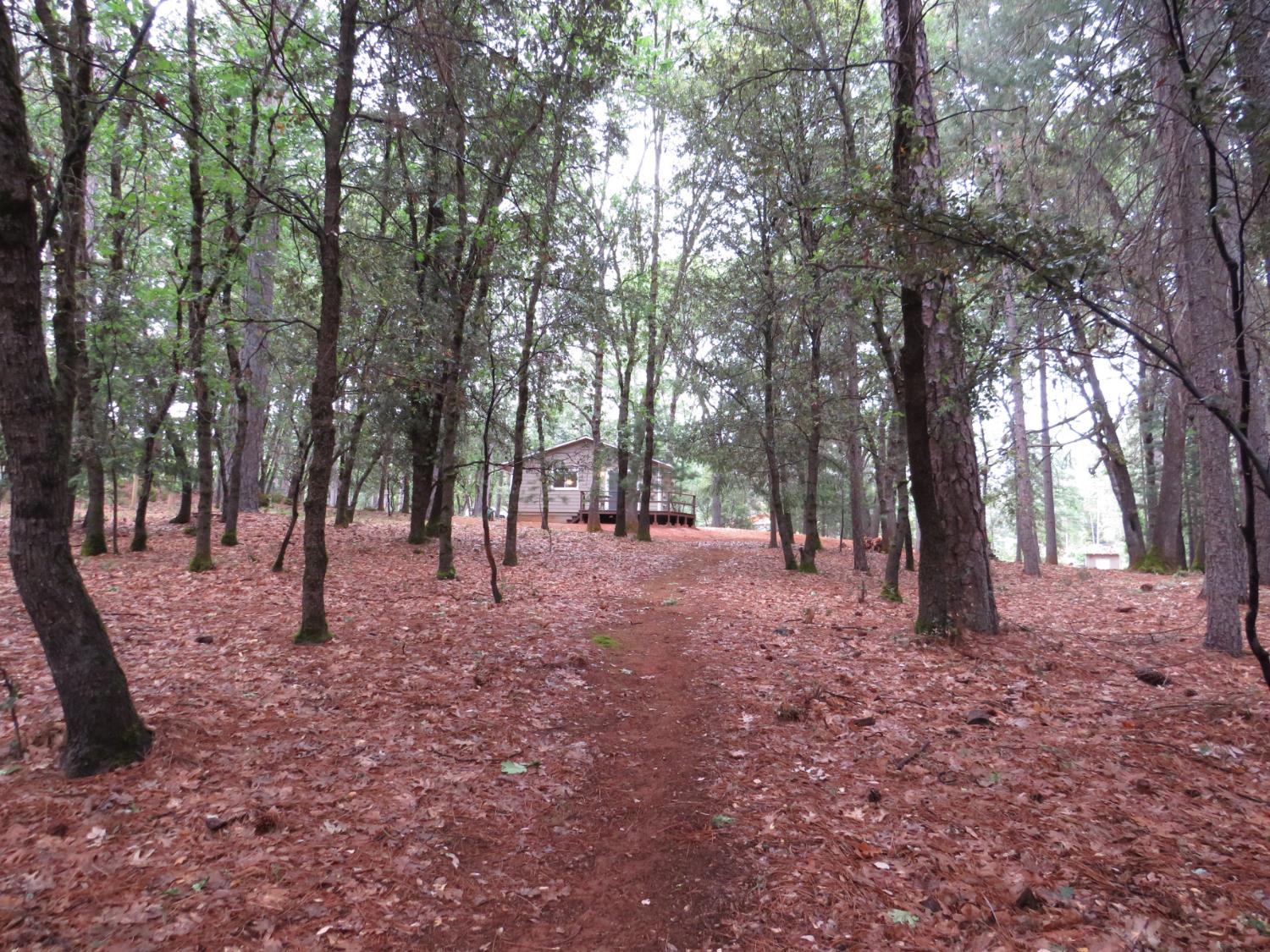 Chattering Pines Road, Grass Valley, California image 19