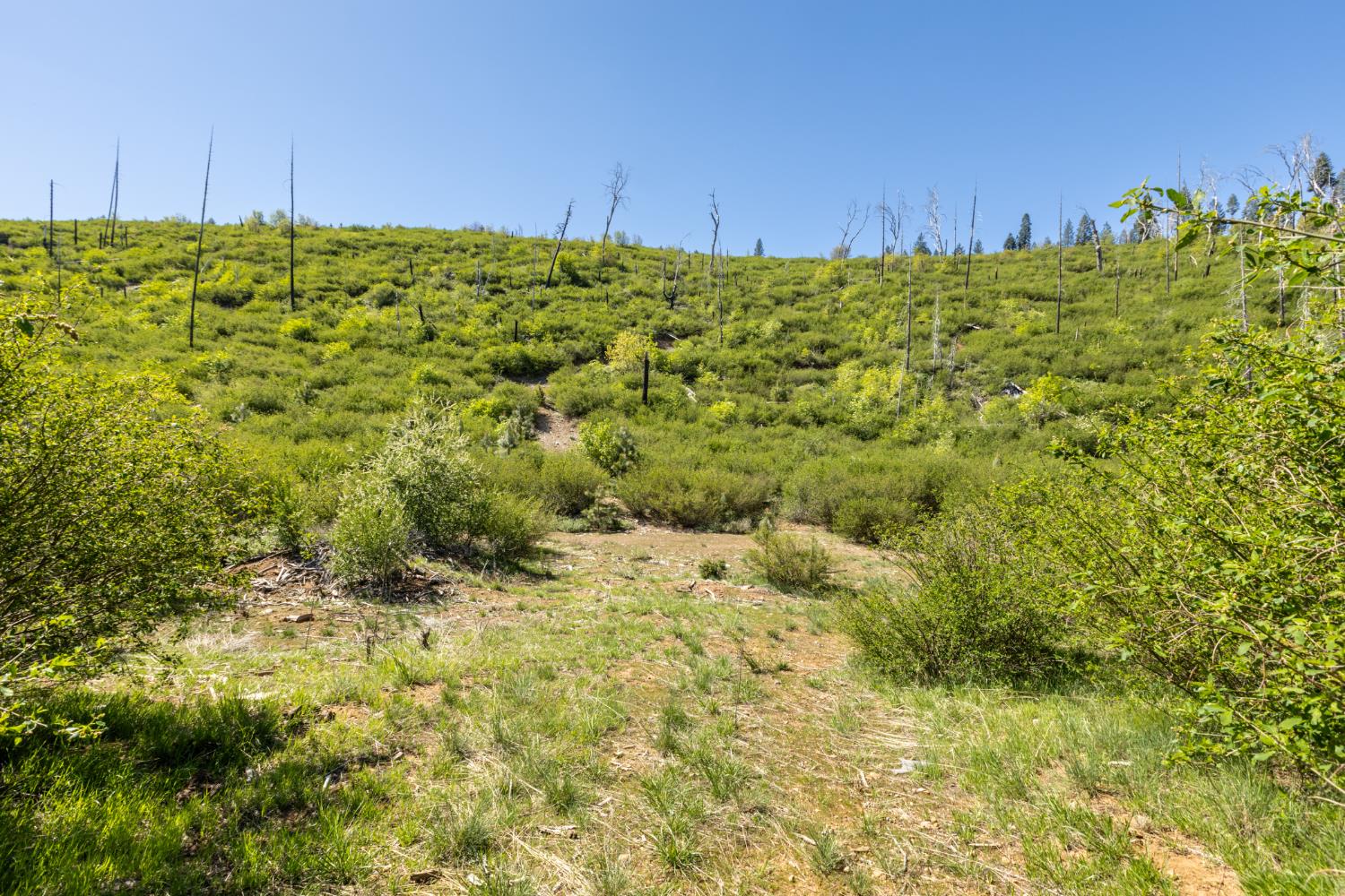 Detail Gallery Image 10 of 30 For 40 Wentworth Springs Rd, Georgetown,  CA 95634 - – Beds | – Baths