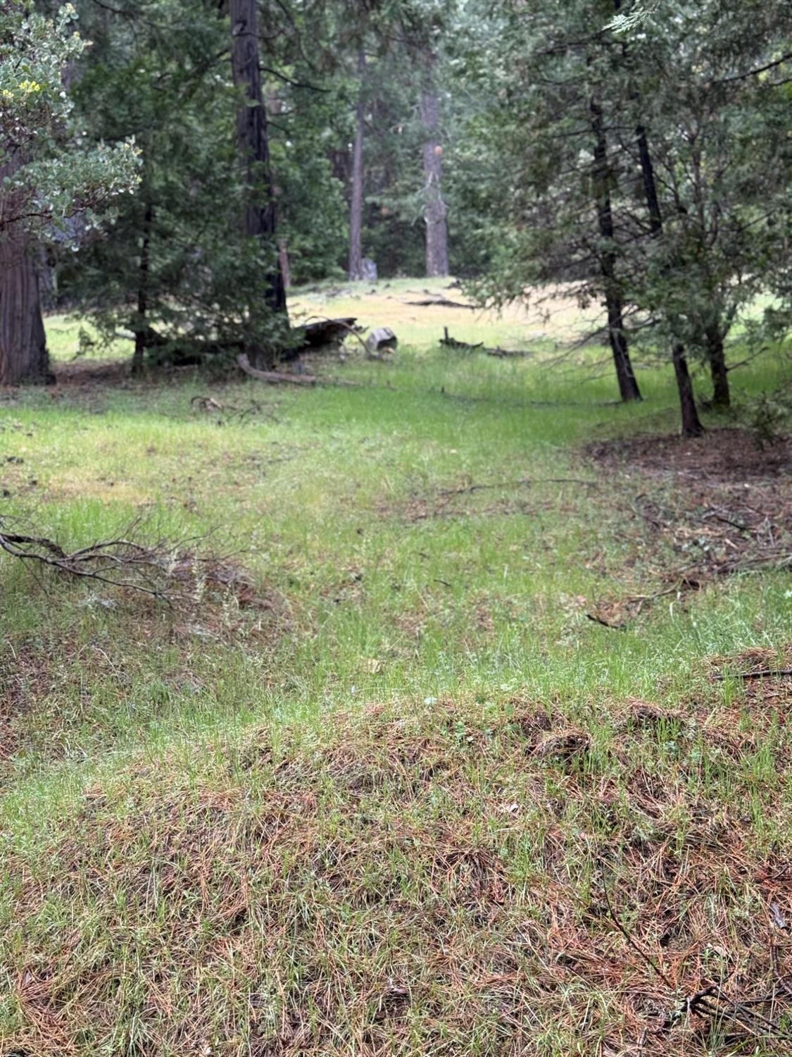 Detail Gallery Image 10 of 20 For 20081 Pine Drive West, Volcano,  CA 95689 - – Beds | – Baths