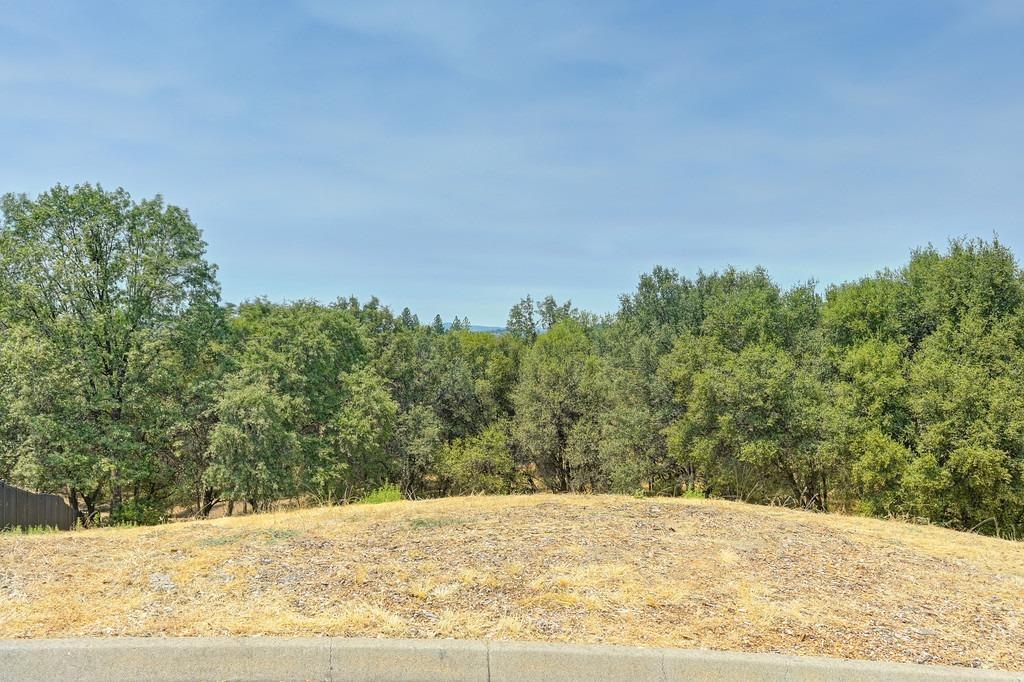 Detail Gallery Image 11 of 25 For 3390 Morel Way, Placerville,  CA 95667 - – Beds | – Baths