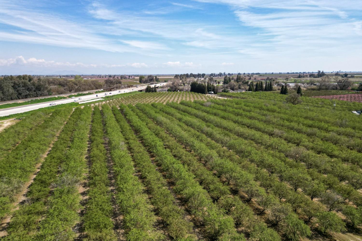 Detail Gallery Image 4 of 24 For 1841 Avenue 388, Kingsburg,  CA 93631 - – Beds | – Baths