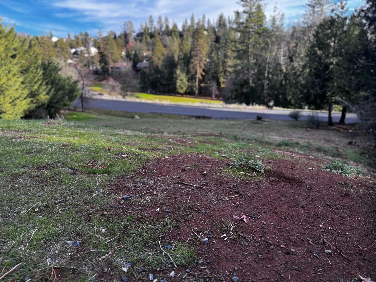 Forest Meadows Drive, Murphys, California image 3