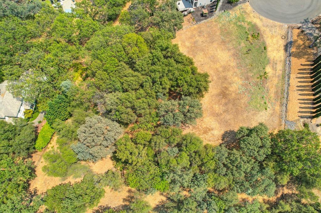 Detail Gallery Image 5 of 25 For 3390 Morel Way, Placerville,  CA 95667 - – Beds | – Baths