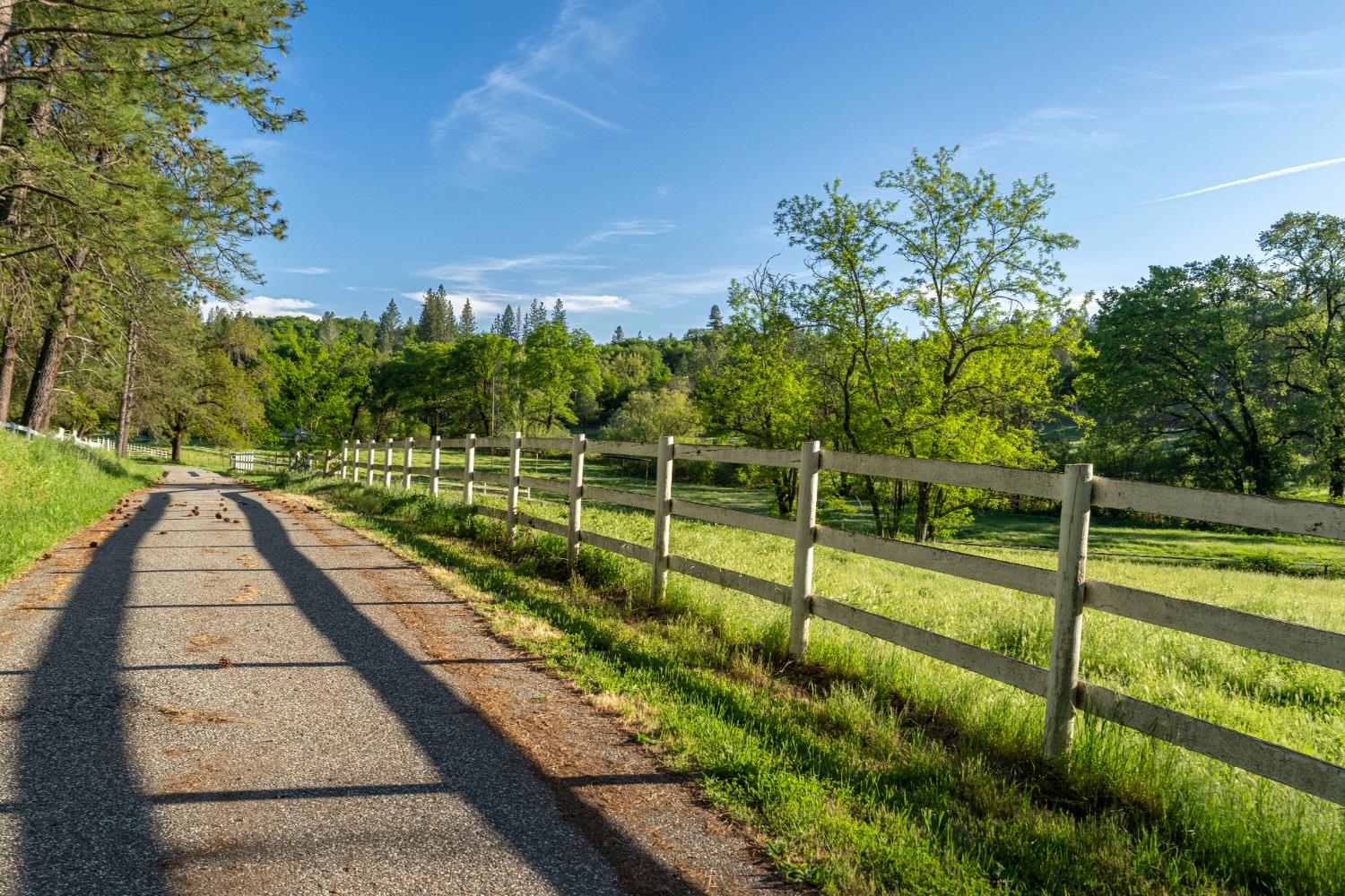Detail Gallery Image 41 of 44 For 13615 Mccourtney Rd, Grass Valley,  CA 95949 - 2 Beds | 2/2 Baths