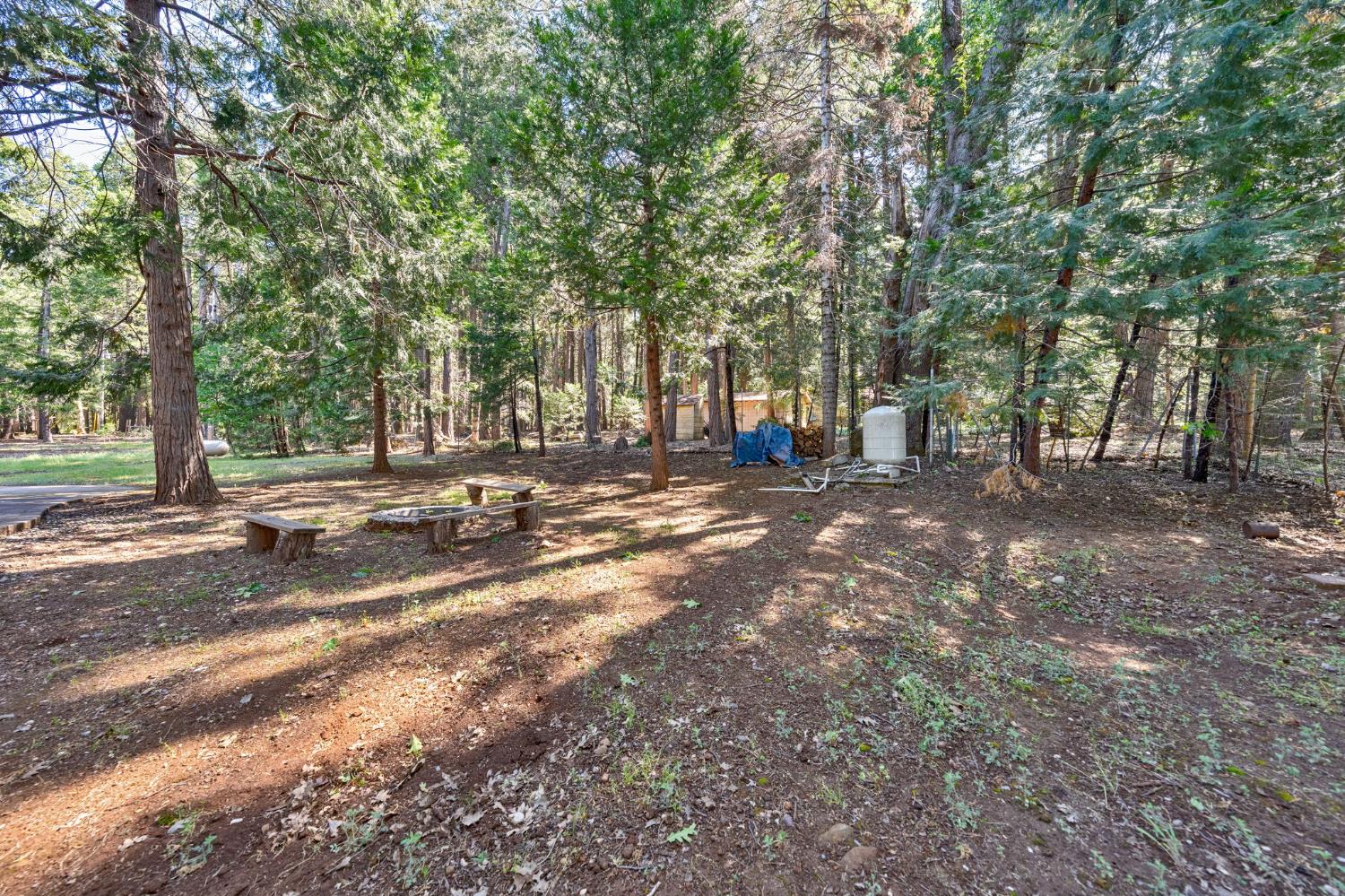 Madrone Forest Drive, Nevada City, California image 44