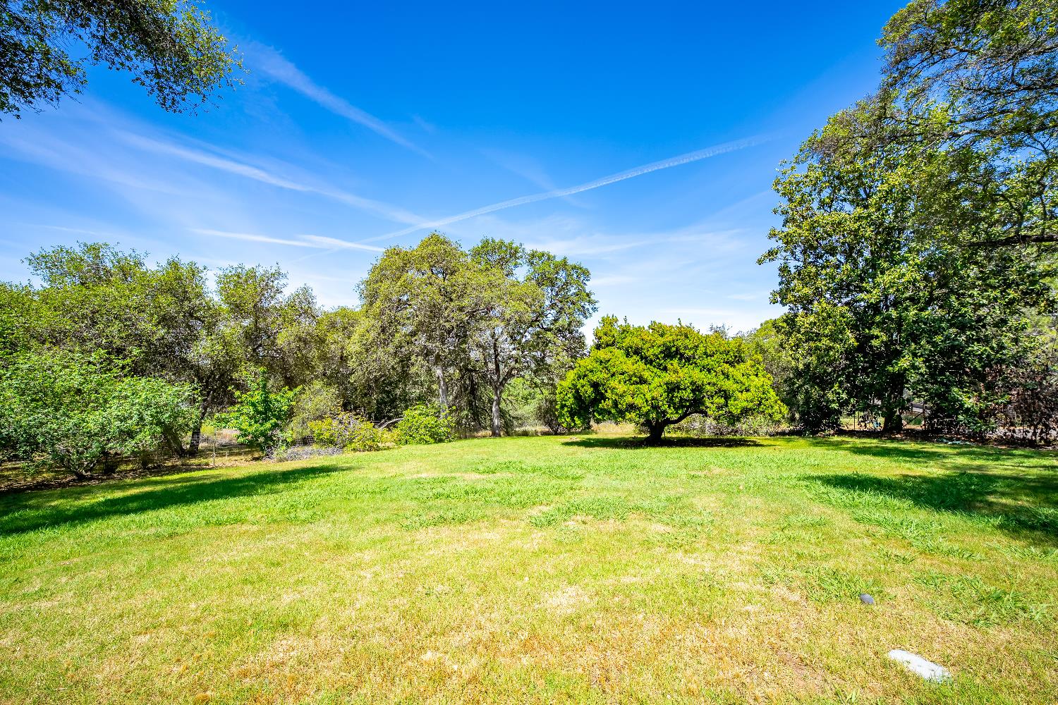 Detail Gallery Image 58 of 80 For 10100 Quail Hill Dr, Newcastle,  CA 95658 - 3 Beds | 2/1 Baths