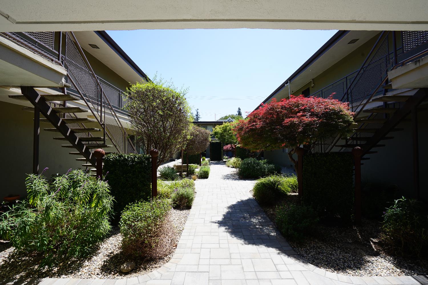 Detail Gallery Image 11 of 19 For 1716 O St, Sacramento,  CA 95811 - – Beds | – Baths