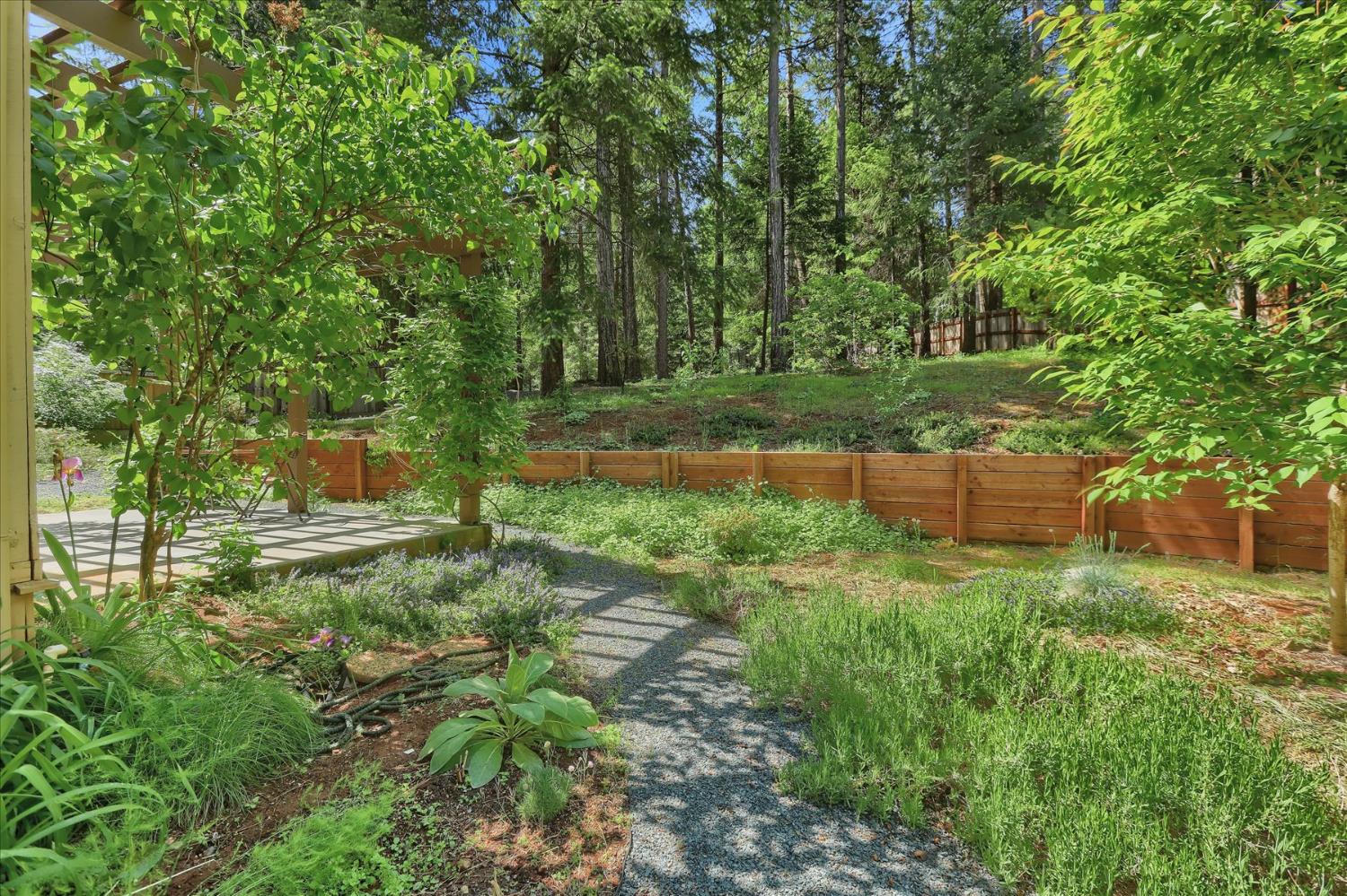 Detail Gallery Image 52 of 76 For 16800 Sun Bloom Way, Nevada City,  CA 95959 - 4 Beds | 3 Baths