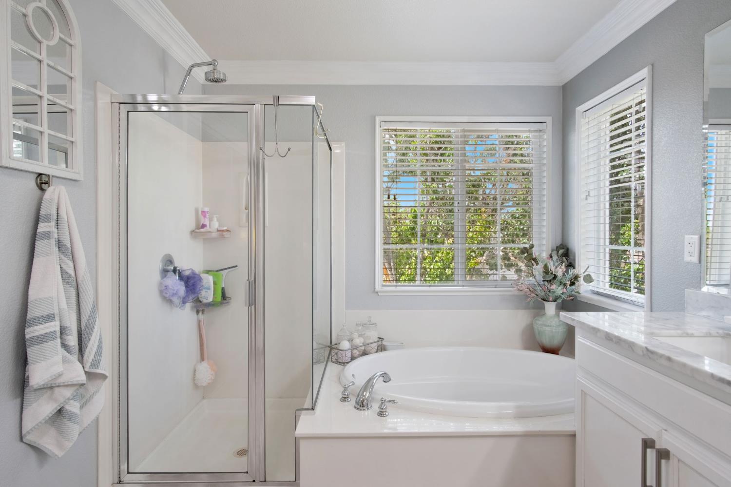 Detail Gallery Image 20 of 47 For 4885 Dandelion Loop, Tracy,  CA 95377 - 4 Beds | 2/1 Baths