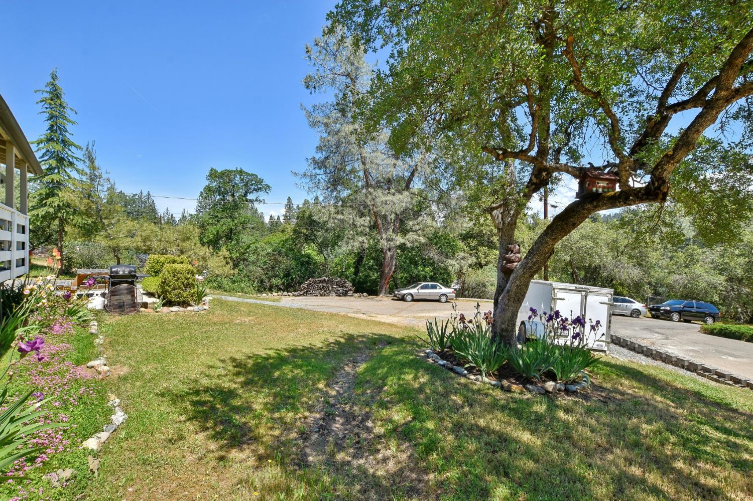 Detail Gallery Image 4 of 23 For 1840 Mary Ct, Placerville,  CA 95667 - 3 Beds | 2 Baths