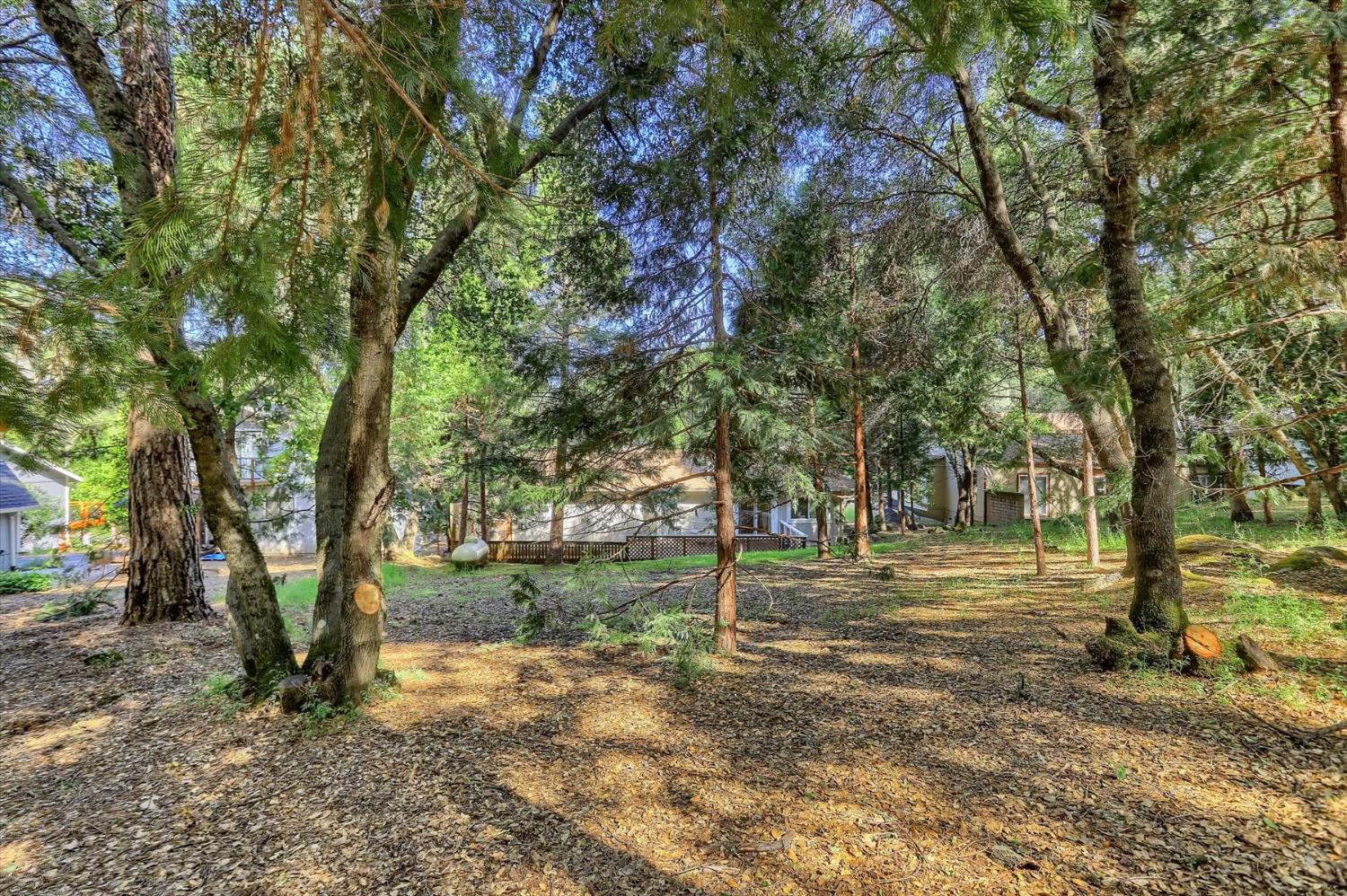 Detail Gallery Image 53 of 95 For 11391 Sandpiper Way, Penn Valley,  CA 95946 - 3 Beds | 2 Baths