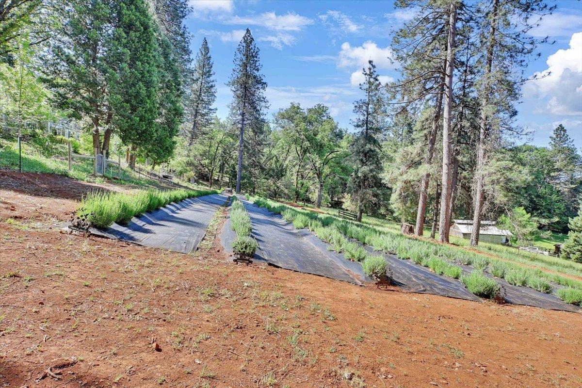 Detail Gallery Image 62 of 77 For 14833 Quail Pointe Ln, Grass Valley,  CA 95945 - 3 Beds | 3/1 Baths