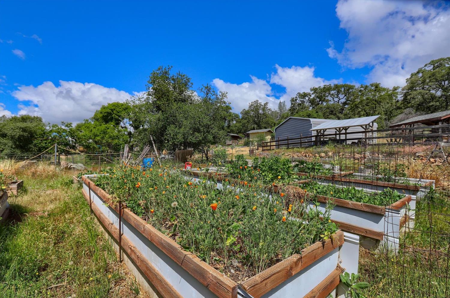 Detail Gallery Image 58 of 65 For 18386 Piper Ln, Penn Valley,  CA 95946 - 3 Beds | 2 Baths