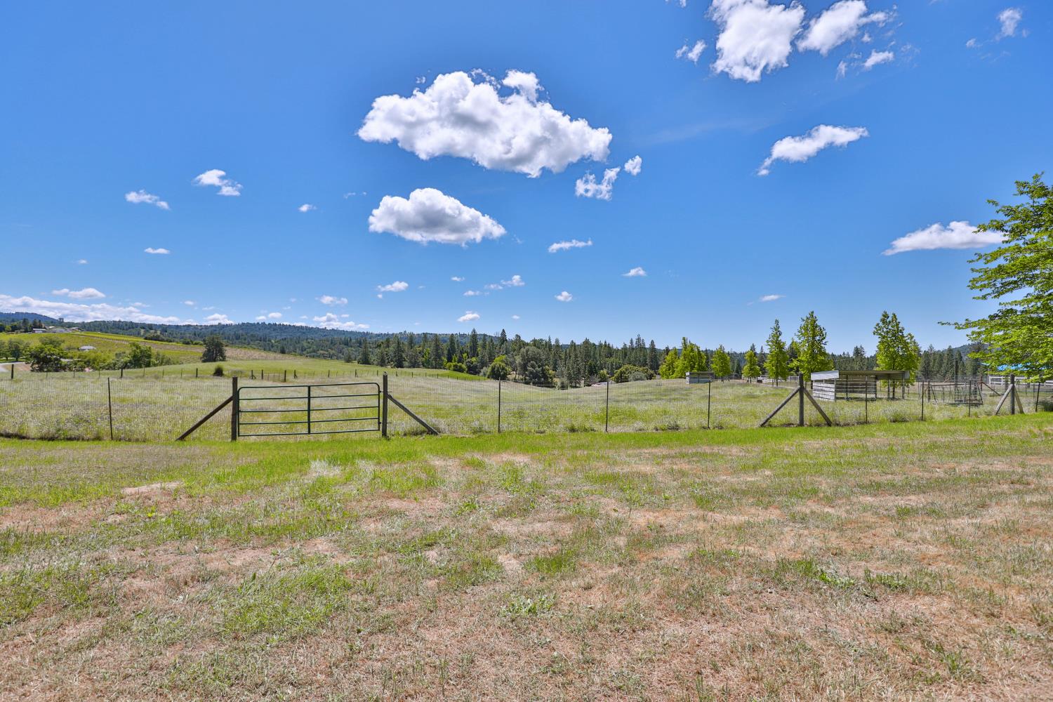 Detail Gallery Image 54 of 96 For 3081 Little Spur, Somerset,  CA 95684 - 3 Beds | 2 Baths