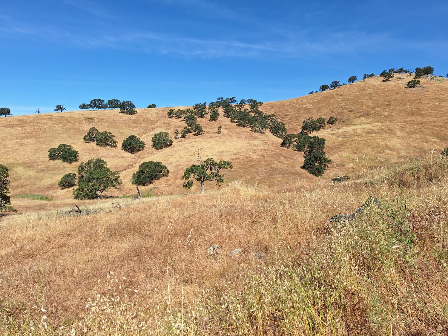 Hernandez, La Grange, California image 4