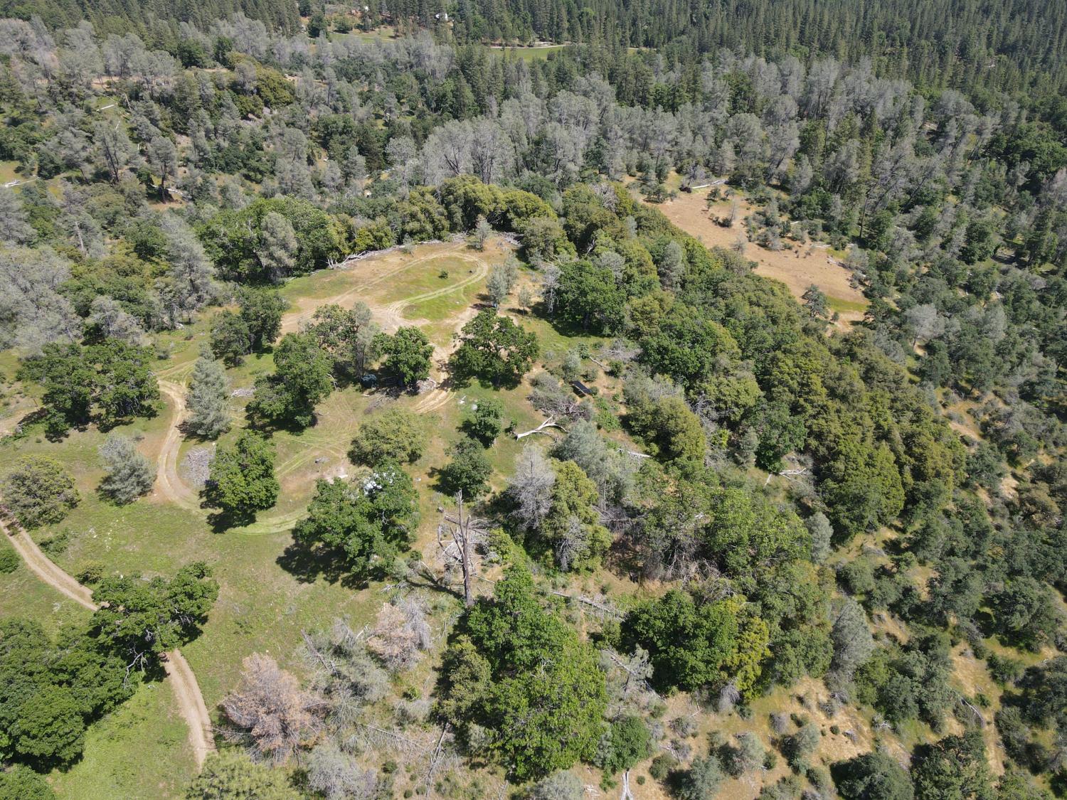 Detail Gallery Image 2 of 29 For 0 Hubbard Rd, Sheep Ranch,  CA 95246 - – Beds | – Baths