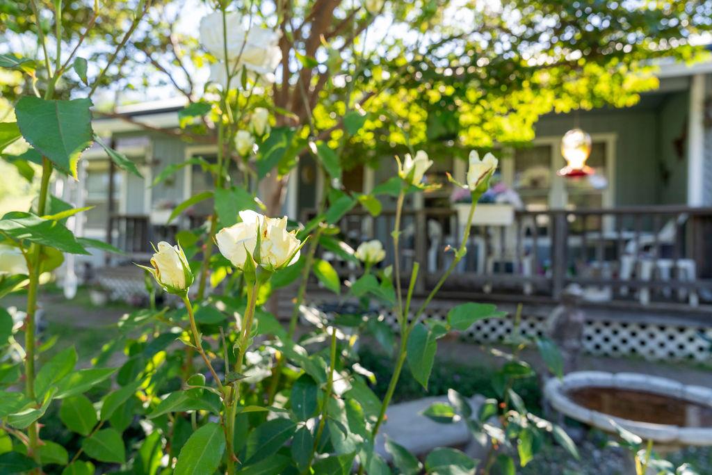 Detail Gallery Image 34 of 35 For 12000 Judas Ear Ct, –,  CA 95977 - 3 Beds | 2 Baths