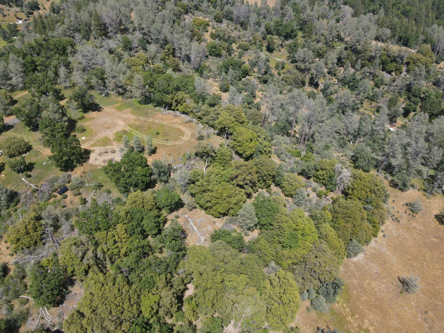 Detail Gallery Image 9 of 29 For 0 Hubbard Rd, Sheep Ranch,  CA 95246 - – Beds | – Baths