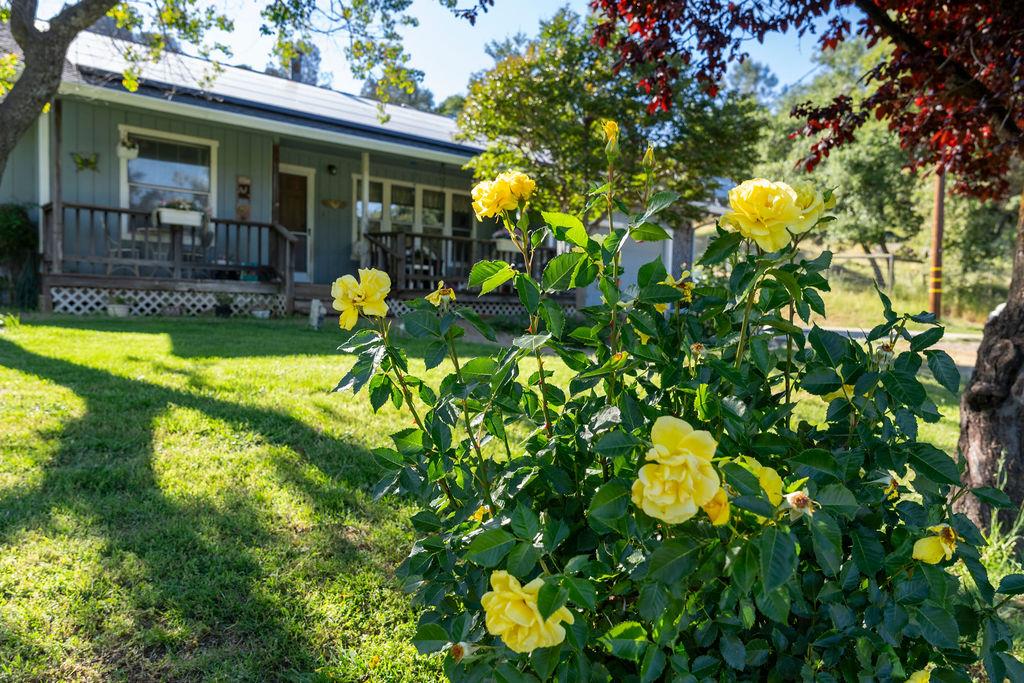 Detail Gallery Image 29 of 35 For 12000 Judas Ear Ct, –,  CA 95977 - 3 Beds | 2 Baths