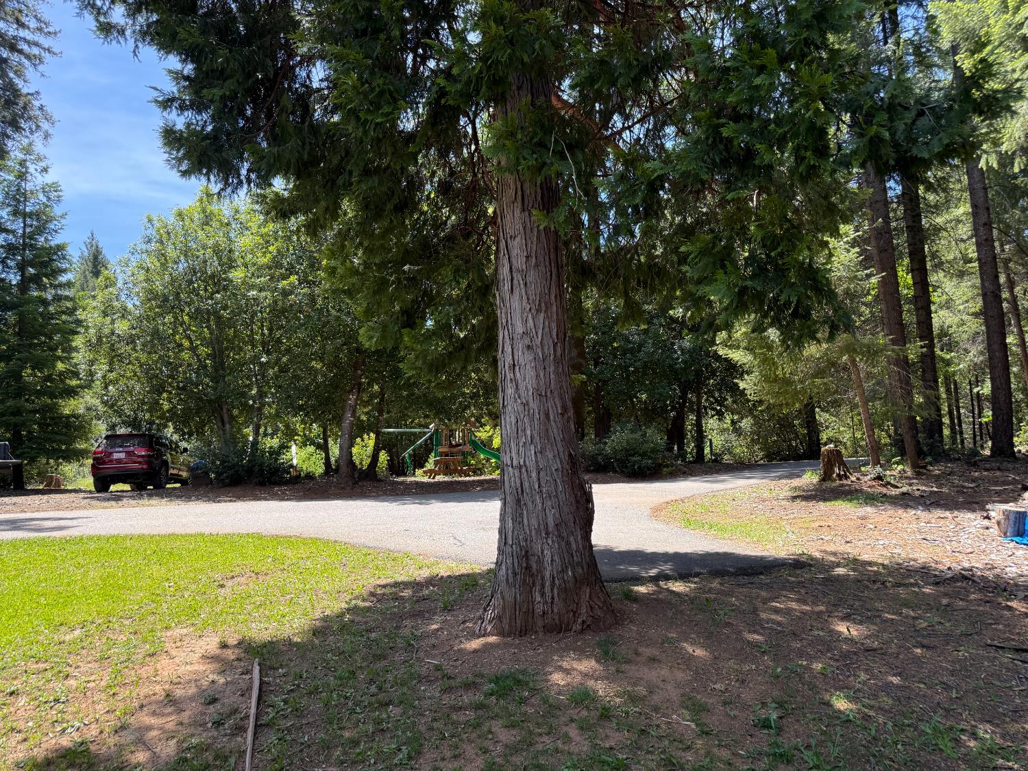 Detail Gallery Image 12 of 17 For 15721 Norcrest Ln, Camptonville,  CA 95922 - 3 Beds | 2 Baths