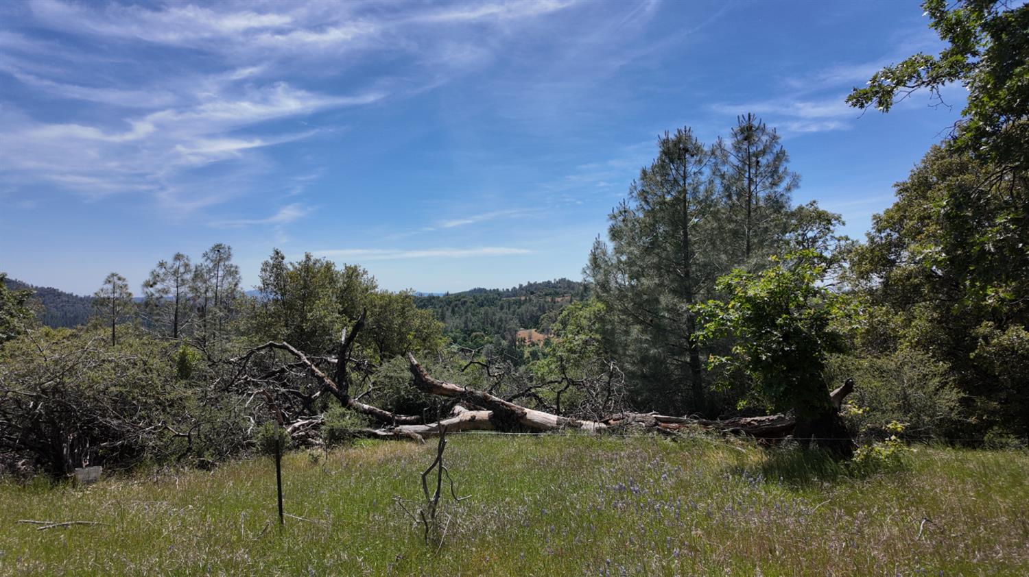 Detail Gallery Image 22 of 29 For 0 Hubbard Rd, Sheep Ranch,  CA 95246 - – Beds | – Baths