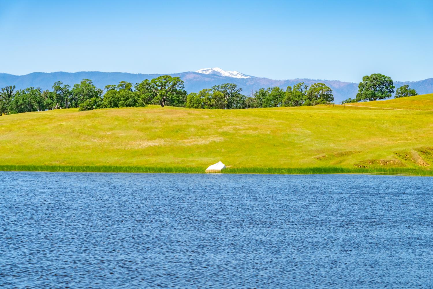 Detail Gallery Image 61 of 89 For 15605 Johnson Rd, Red Bluff,  CA 96080 - 4 Beds | 4 Baths