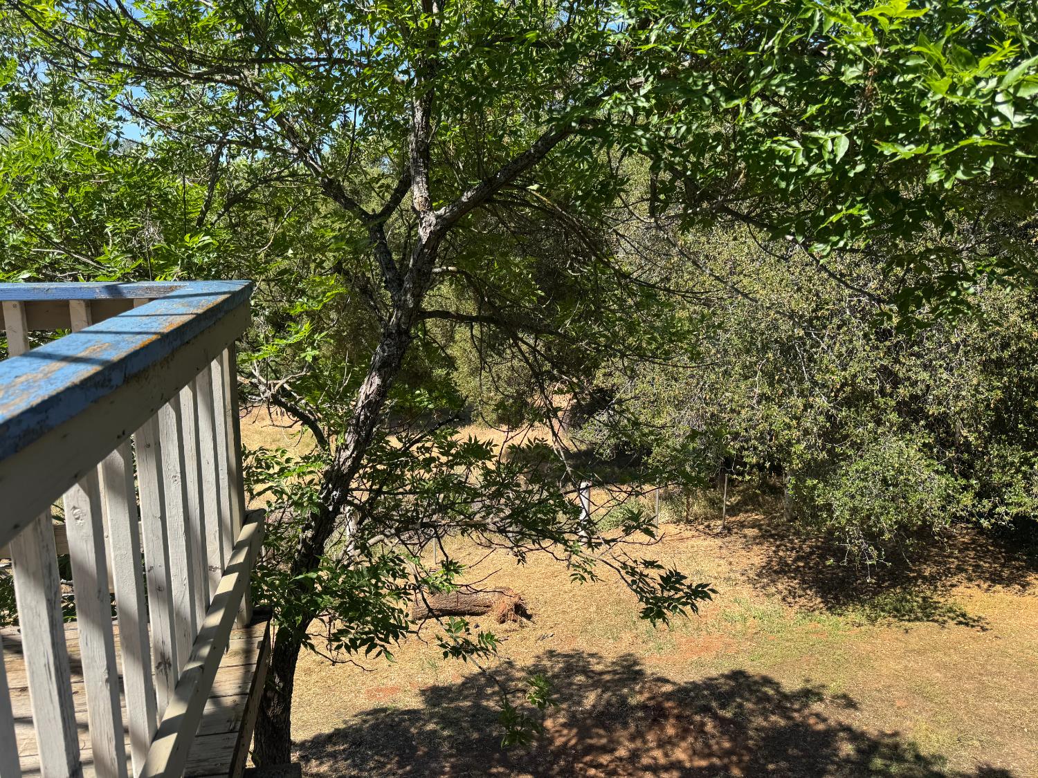 Margarita Court, Coulterville, California image 36
