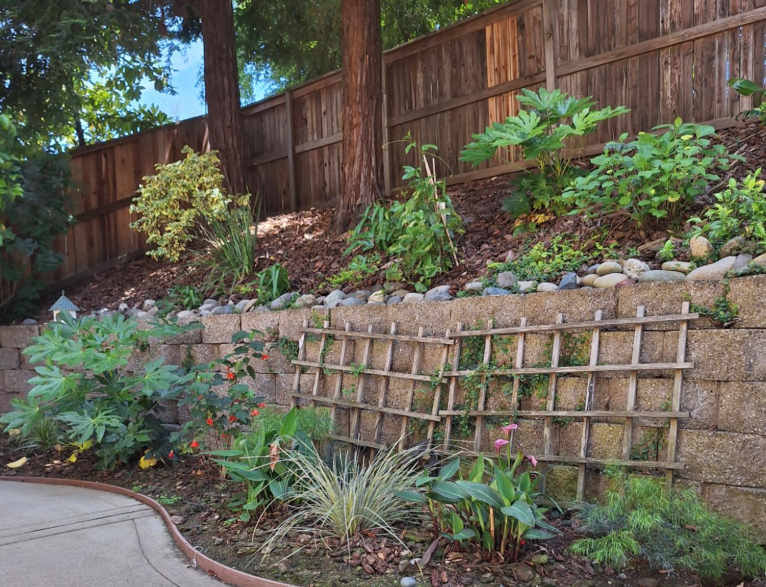 Detail Gallery Image 53 of 54 For 2000 Kilpatrick Way, Granite Bay,  CA 95746 - 5 Beds | 4 Baths